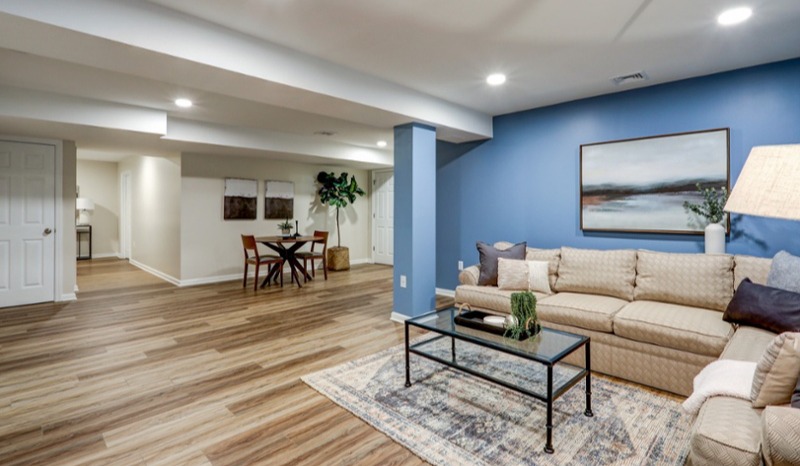 Manheim Basement Remodel with guest suite